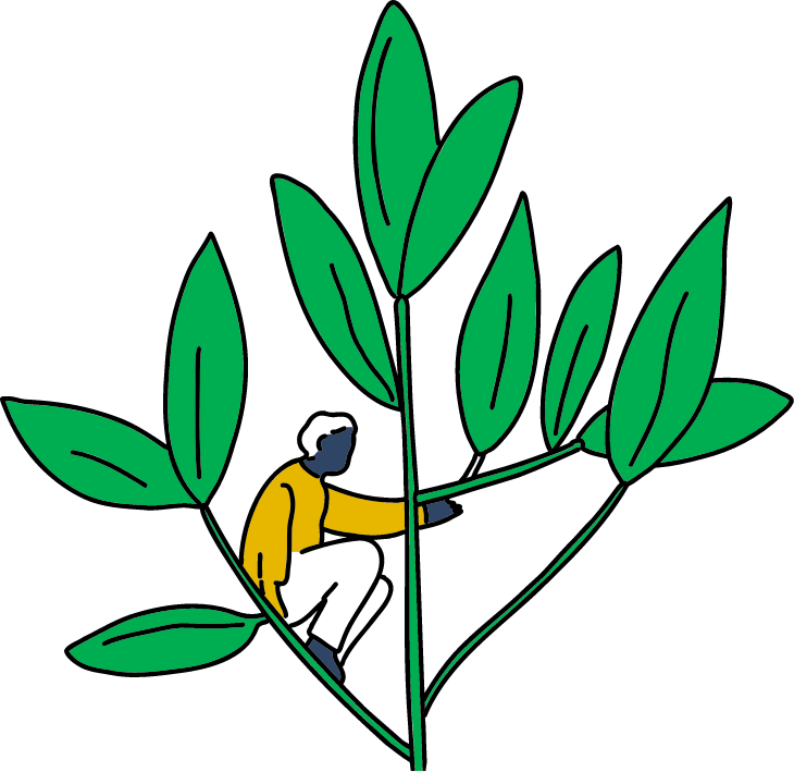 Leaves with a person sitting on it